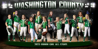 Washington County Softball